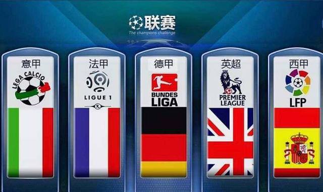 支国家队的