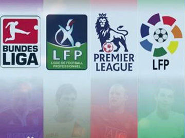 偏向体系化 偏向体系化